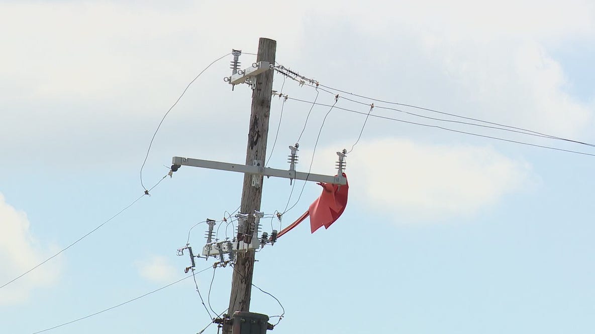 DTE contractor electrocuted by live wire
